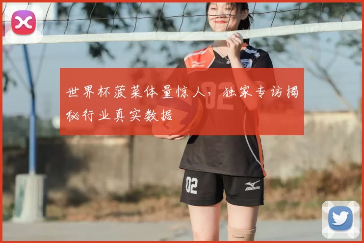 世界杯菠菜体量惊人,独家专访揭秘行业真实数据