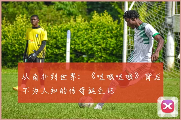 从南非到世界：《哇哦哇哦》背后不为人知的传奇诞生记