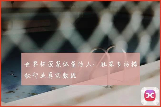 世界杯菠菜体量惊人,独家专访揭秘行业真实数据