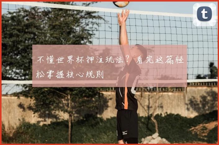 不懂世界杯押注玩法?看完这篇轻松掌握核心规则