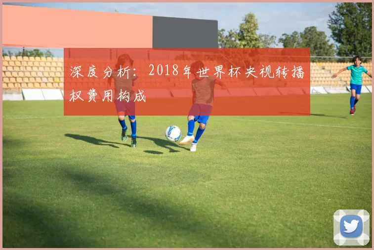 深度分析:2018年世界杯央视转播权费用构成