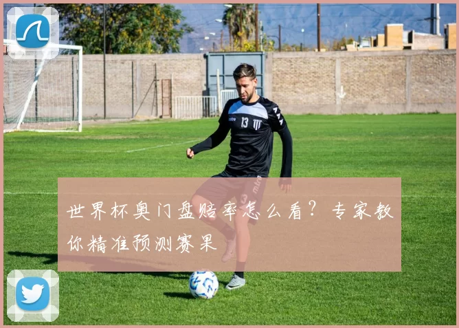 世界杯奥门盘赔率怎么看？专家教你精准预测赛果
