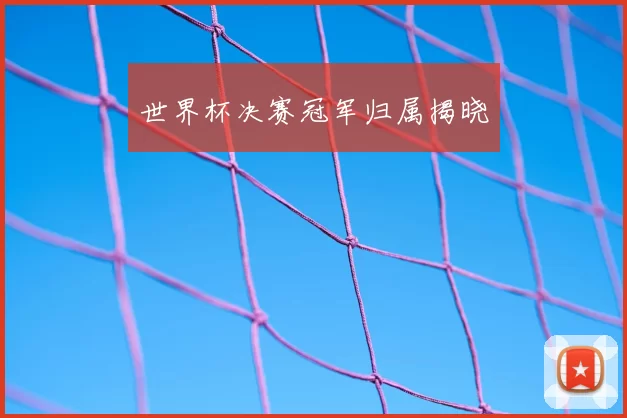 世界杯决赛冠军归属揭晓