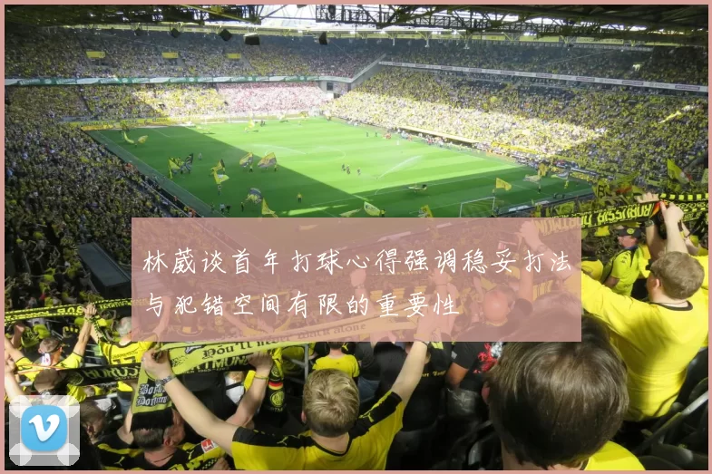林葳谈首年打球心得强调稳妥打法与犯错空间有限的重要性