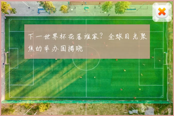 下一世界杯花落谁家?全球目光聚焦的举办国揭晓