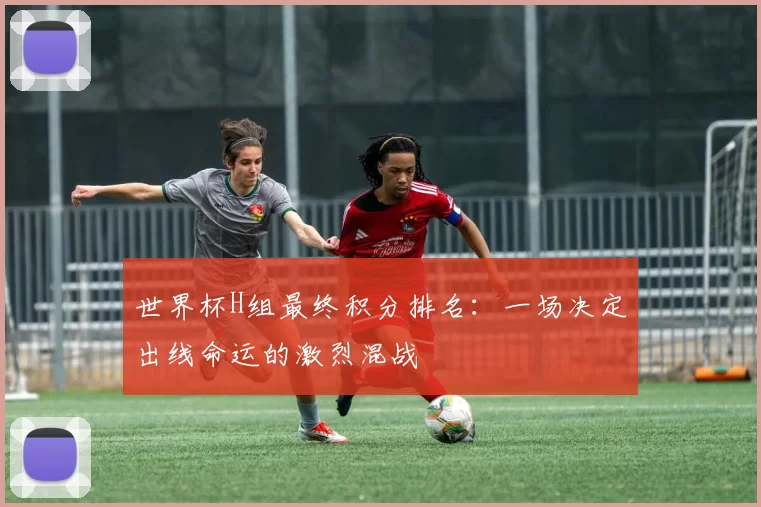 世界杯H组最终积分排名:一场决定出线命运的激烈混战