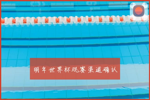 明年世界杯观赛渠道确认
