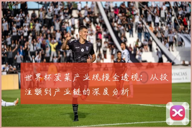 世界杯菠菜产业规模全透视:从投注额到产业链的深度分析