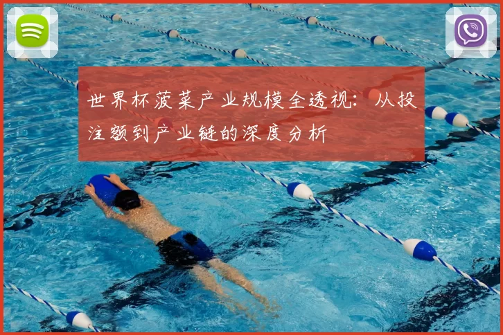 世界杯菠菜产业规模全透视:从投注额到产业链的深度分析