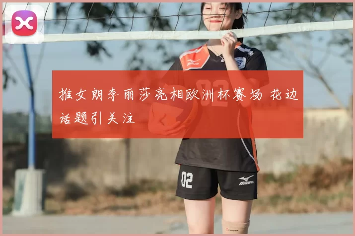 推女朗李丽莎亮相欧洲杯赛场 花边话题引关注
