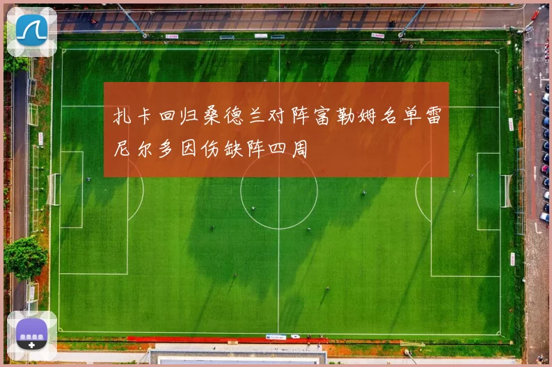 扎卡回归桑德兰对阵富勒姆名单雷尼尔多因伤缺阵四周